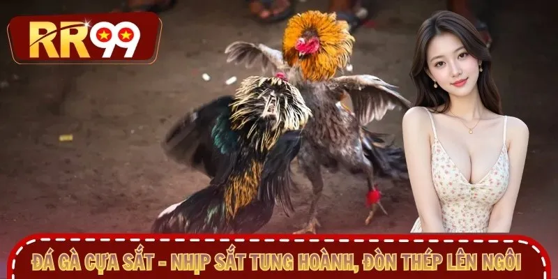 Đá gà cựa sắt